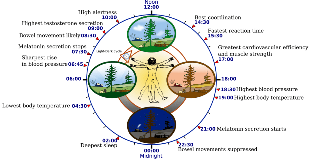 Lighting affects sleep cycles