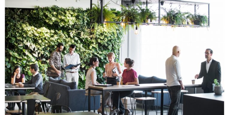 8 Ergonomic Lighting Design Tips for Windowless Office - Make Great Light