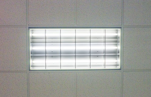 Normal Fluorescent Light