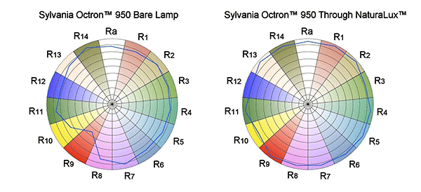 Full Spectrum Light Bulb Comparison