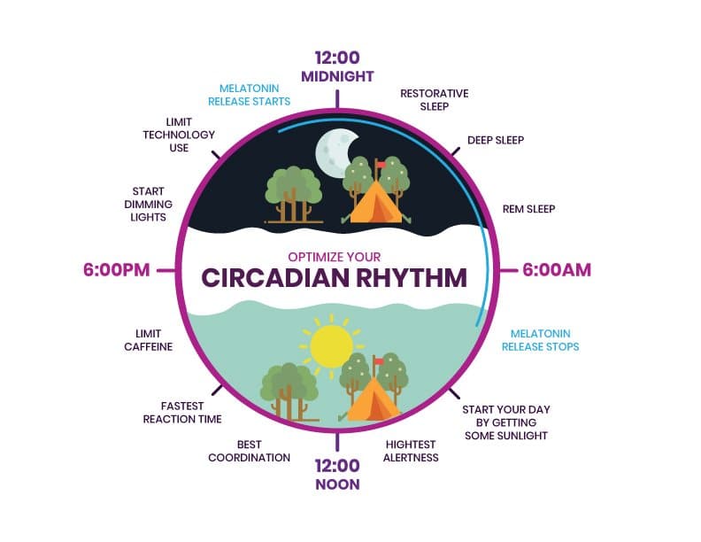 what is circadian rhythm